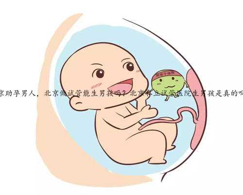 北京助孕男人，北京做试管能生男孩吗？北京私立试管医院生男孩是真的吗？